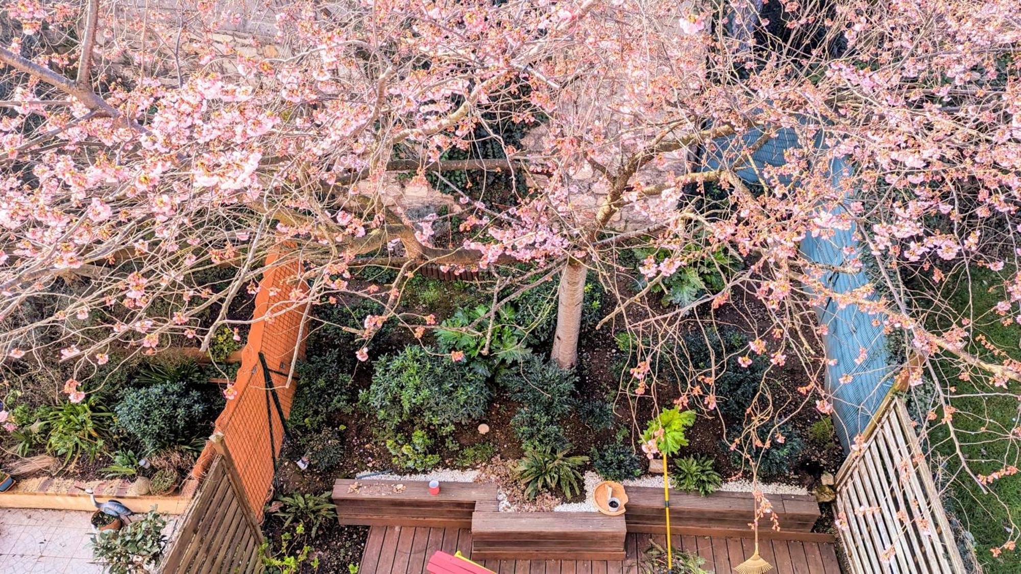 Maison Avec Jardin Au Sud De Paris Apartment Gentilly Bagian luar foto